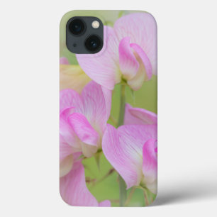 Bloemen van de lathyrus Seabeck, WA iPhone 13 Hoesje