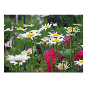Bloemen van de wereld foto afdruk