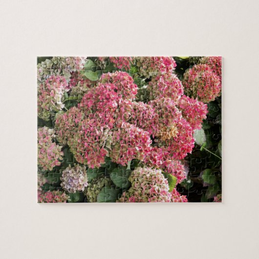 Bloemen van een Franse hydrangea (Hydrangea macrop Legpuzzel (Horizontaal)