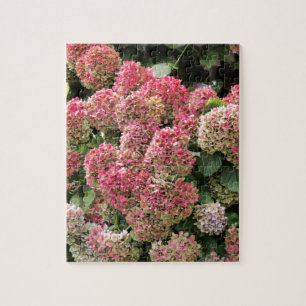 Bloemen van een Franse hydrangea (Hydrangea macrop Legpuzzel