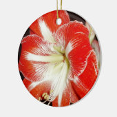 Bloemen van Faith 2 Corinthians Amaryllis Ornament (Links)