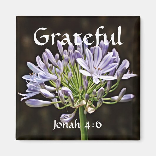 Bloemen van Faith Jonah Agapanthus Magnet Magneet (Voorkant)