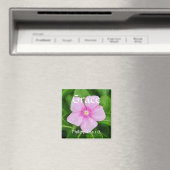 Bloemen van Faith Philippians 1:2 Periwinkle Magne Magneet (Insitu (Vaatwasser))