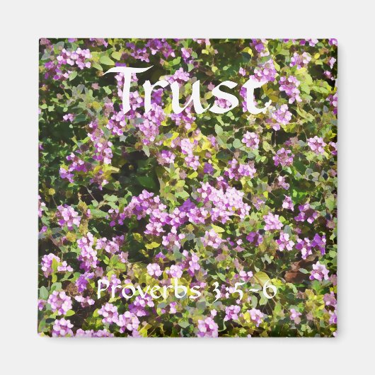 Bloemen van Faith Proverbs Sage Magnet Magneet (Voorkant)