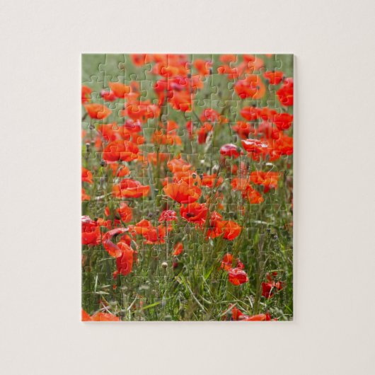 Bloemen van gewone papaver in een veld. legpuzzel (Verticaal)