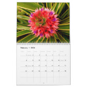 Bloemen van Hawaii Kalender (Feb 2026)