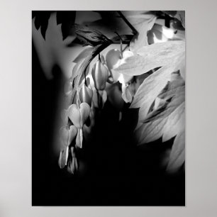 Bloemen van het bloeden, zwart en wit poster