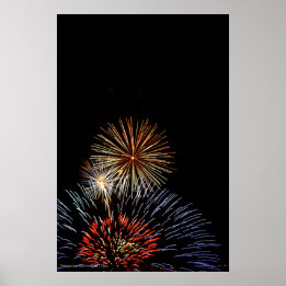 Bloemen van lichte afdrukken poster