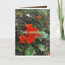 bloemen van liefde van iemand die erom geeft.