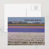 Bloemen van Nederland Briefkaart (Voorkant / Achterkant)