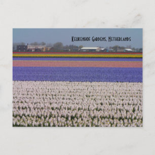 Bloemen van Nederland Briefkaart