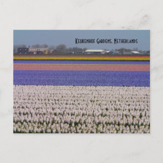 Bloemen van Nederland Briefkaart