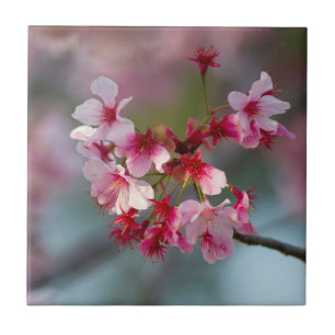 Bloemen van torenbloesems tegeltje