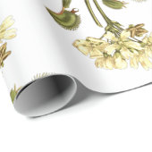 bloemen van venus flyval cadeaupapier (Rol Hoek)