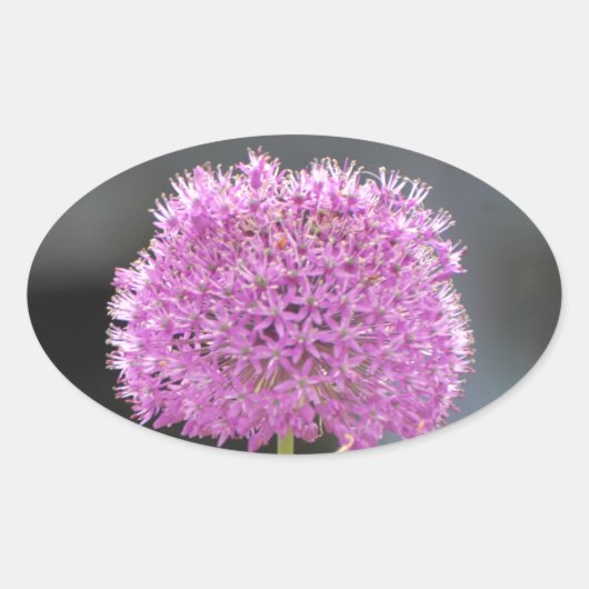 Bloemen voor allen ovale sticker (Voorkant)