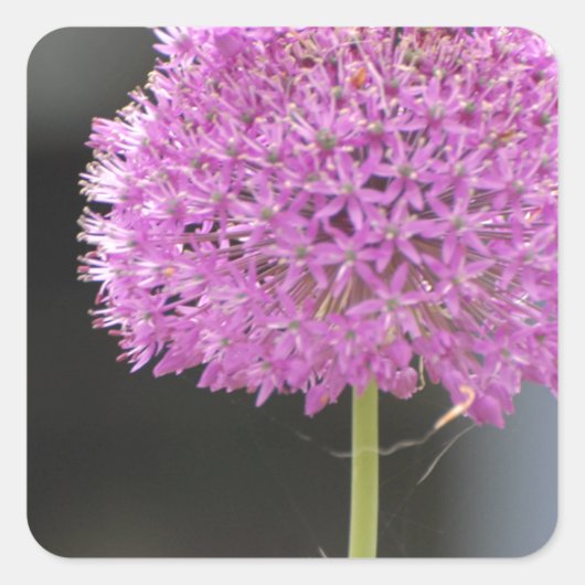 Bloemen voor allen vierkante sticker (Voorkant)