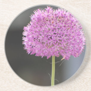 Bloemen voor allen zandsteen onderzetter