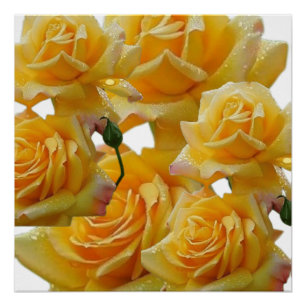 Bloemen voor huizen perfect poster