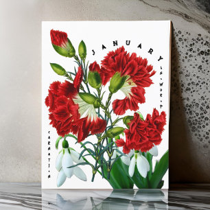 Bloemen voor januari maand Sneeuwklokje Anjer Briefkaart
