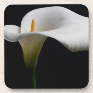 Bloemen White Calla Lily Bier Onderzetter