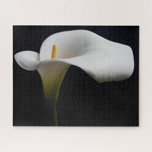 Bloemen | White Calla Lily Legpuzzel (Horizontaal)