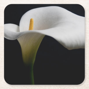 Bloemen White Calla Lily Vierkante Kartonnen Onderzetter