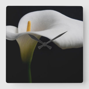 Bloemen White Calla Lily Vierkante Klok