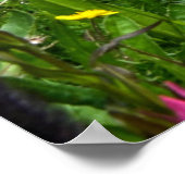 Bloemen | Wildbloemen Durango, Colorado Poster (Hoek)