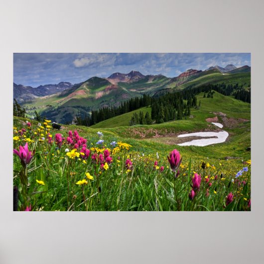 Bloemen | Wildbloemen Durango, Colorado Poster (Voorkant)