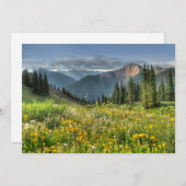 Bloemen | Wildbloemen Silverton Colorado Bedankkaart (Voorkant / Achterkant)