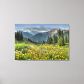 Bloemen | Wildbloemen Silverton Colorado Canvas Afdruk (Voorkant)
