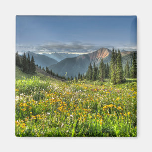 Bloemen Wildbloemen Silverton Colorado Magneet
