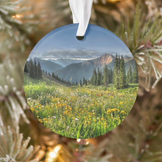 Bloemen | Wildbloemen Silverton Colorado Ornament (Boom)