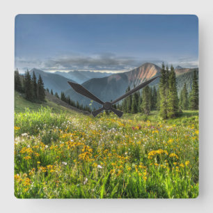 Bloemen Wildbloemen Silverton Colorado Vierkante Klok