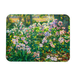   bloemen Windflowers illustratie Magneet