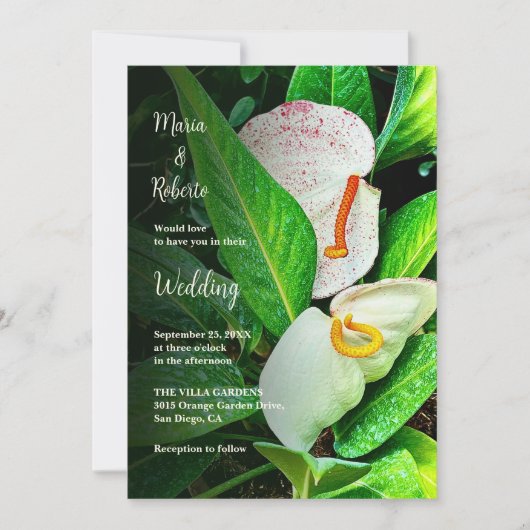 Bloemen Witte Cala Lelies Mexicaanse bruiloft Kaart (Voorkant)