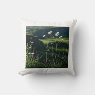Bloemen Witte Daisy Natuur Landschap Kussen