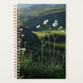 Bloemen Witte Daisy Natuur Landschap Planner (Voorkant)