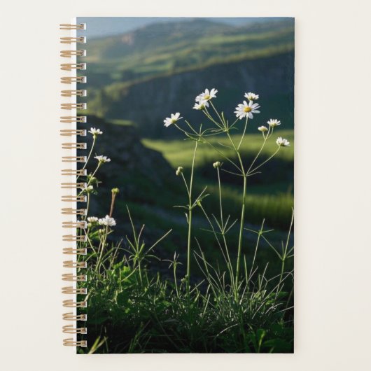 Bloemen Witte Daisy Natuur Landschap Planner (Voorkant)