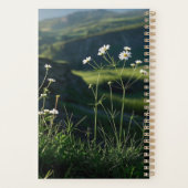 Bloemen Witte Daisy Natuur Landschap Planner (Achterkant)