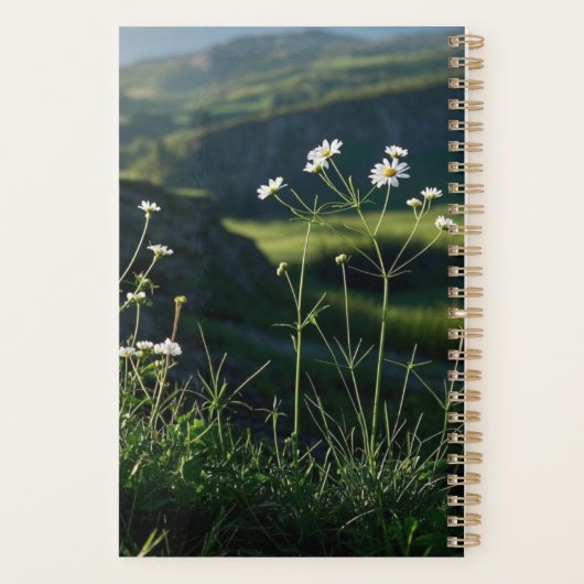 Bloemen Witte Daisy Natuur Landschap Planner (Achterkant)