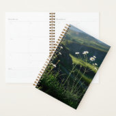 Bloemen Witte Daisy Natuur Landschap Planner (Display)