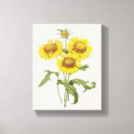 bloemen zonnebloem met bloemen door roodoute canvas afdruk (Voorkant)