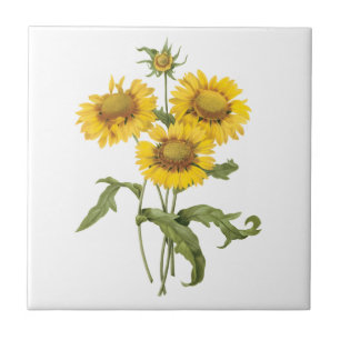  bloemen zonnebloem met bloemen door roodoute tegeltje