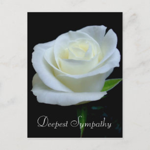 Bloemen Zwart en Witte Roos Diepste Sympathie Briefkaart