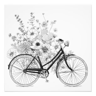 Bloemen Zwart Wit Fietstekening Foto Afdruk