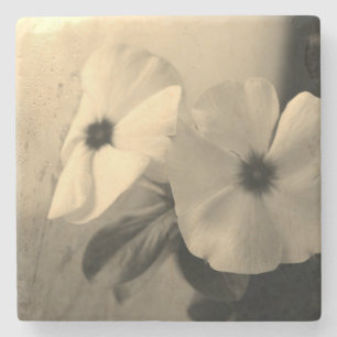 Bloemen Zwart Wit foto Marmeren Steen Onderzetter