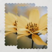 BLOEMENBLOEI FEESTDAGENKAART (Voorkant / Achterkant)