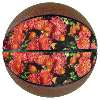 Bloemende Chrysanthemum Mini Basketbal
