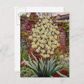 Bloemende Yucca Briefkaart (Voorkant / Achterkant)